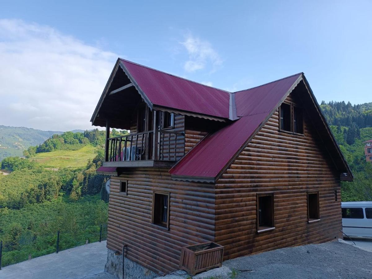 Diamond Tree House