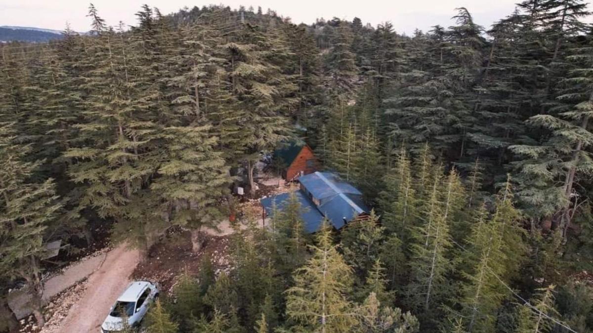 Cedrus life bungalov tesisi
