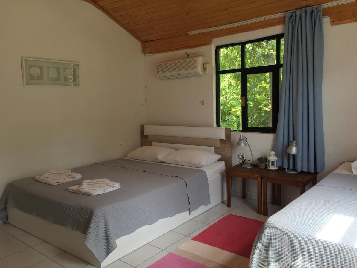 Cirali Friends Pension&Camping