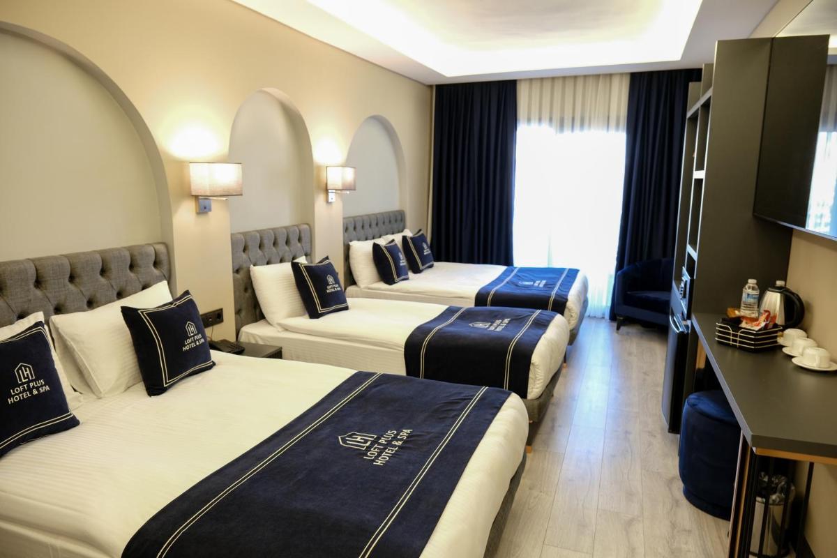Loft Plus Hotel's