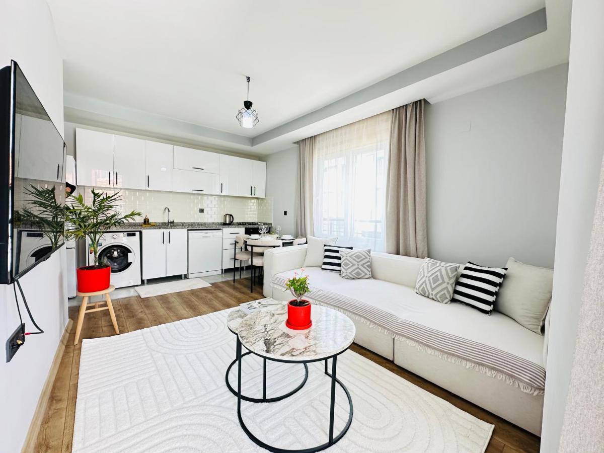 merkezde 2 odalı minimalist ev