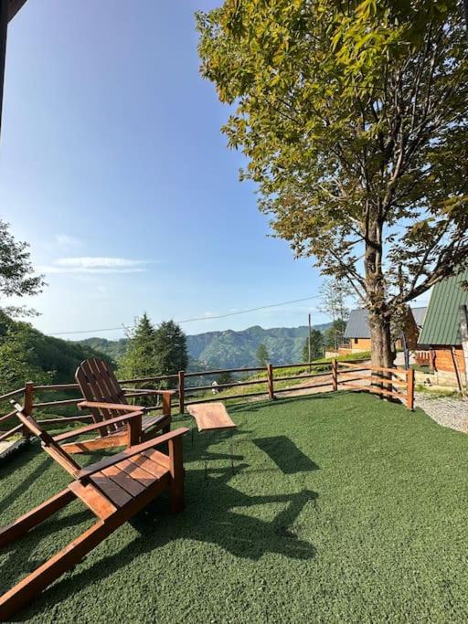 Rota Dağ Evi Rize